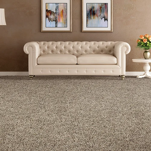 Hollister Home Center providing stain-resistant pet proof carpet in in Macomb, IL