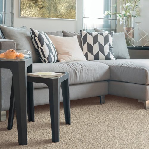 Hollister Home Center providing stain-resistant pet proof carpet in in Macomb, IL - Infinite Breath
